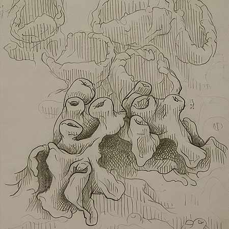 Studies (Lichens), No. 2, Kurt W. Schweikart