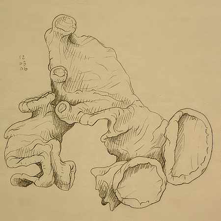 Studies (Lichens), No. 7, Kurt W. Schweikart